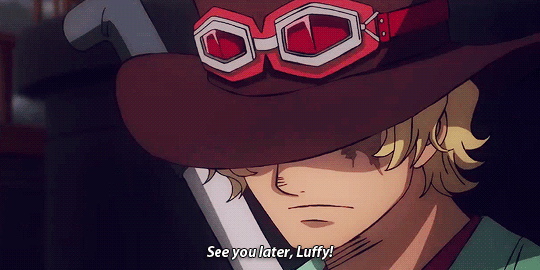 Sabo S Adventure Asl Brothers In One Piece