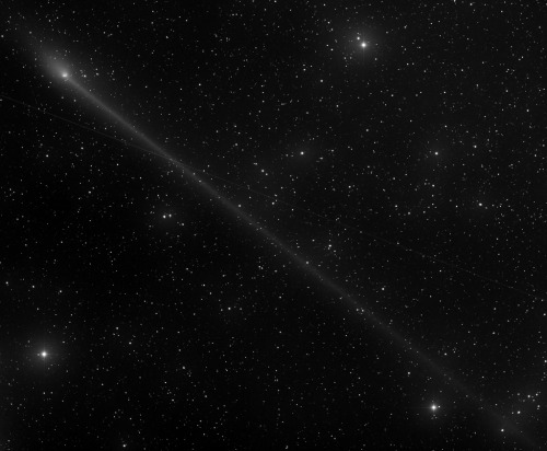 galaxyshmalaxy:Comet C/2011 L4 Panstarrs Widefield L - May 29, 2013 (by Joseph Brimacombe)