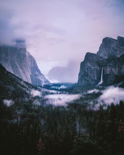 evermist in yosemite by leah berman