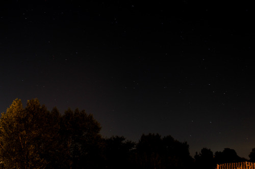 fangrillqueen: nick-avallone: last night was my first time taking long exposure pictures and i had s