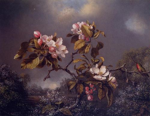 dappledwithshadow:Apple Blossoms and HummingbirdMartin Johnson Heade 1871Addison Gallery of American