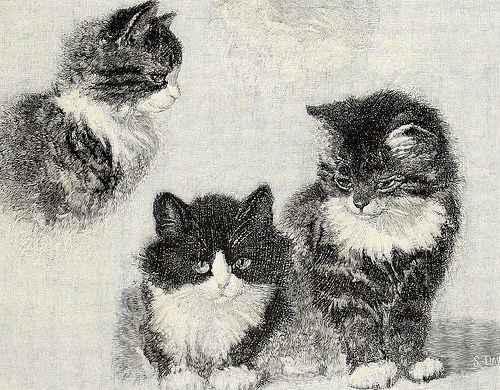 historicalbookimages:page 1126 of “St. Nicholas [serial]”(1873)