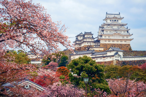 ourbedtimedreams: Himeji Castle (姫路城) in Spring by どこでもいっしょ on Flickr.