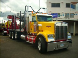 semitrckn:  Kenworth custom W900L log loader