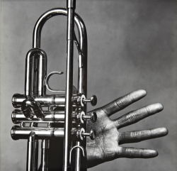 blackpicture:  Irving Penn Miles Davis hand