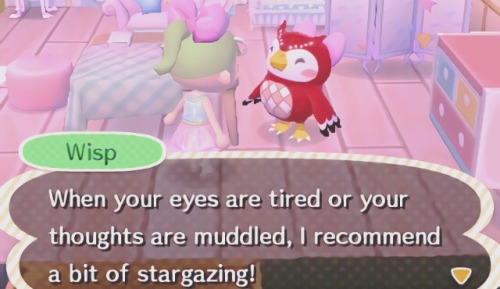 cupcakecrossing: animal crossing always gives the best advice