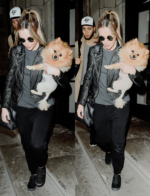 littlepezz:Perrie and Hatchi leaving their Manchester Hotel, UK // 26.03.2016