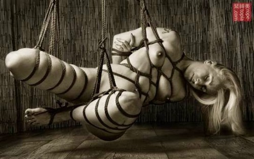 southernsir:  Shibari Saturday