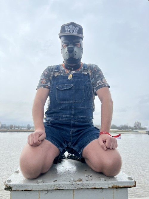 Darklands Another Day, Another Outfit, Same Placerailwaydoggo 2.0