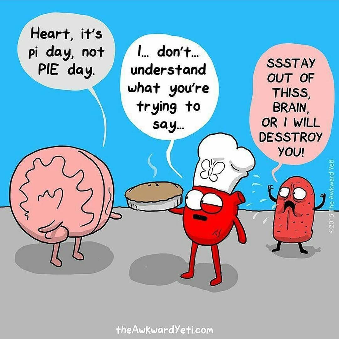 Happy PIE day! Go eat some pie and be thankful it is not math&hellip; ! @theawkwardyeti
