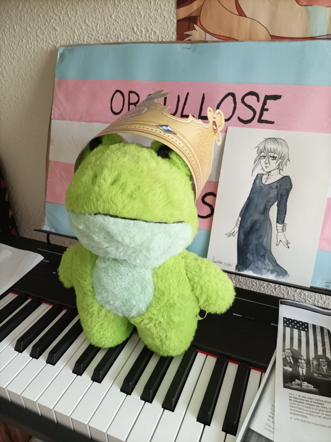 #dewie#frog plushie#frogblr#frogcore#frog