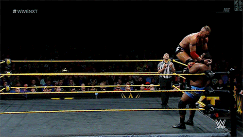 mith-gifs-wrestling - I love the timing and framing on this...