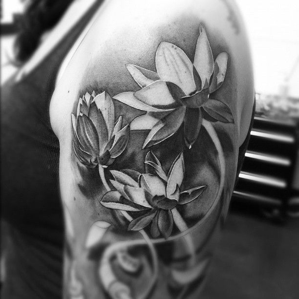 Lotus Tatoo Lotus Tatoo