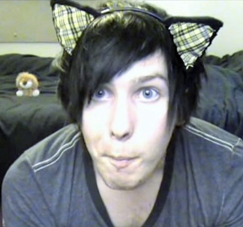 dansucc:cat ears ( x / x )