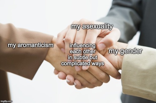 raavenb2619: [ID: The three way business handshake meme. People labelled “my aromanticism&rdqu