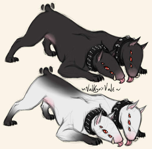  Double headed trouble. Twice the bite but also twice the pup! Ruth’s hellhound buddy