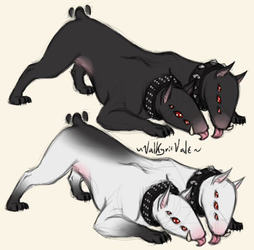 Double headed trouble. Twice the bite but also twice the pup! Ruth’s hellhound buddy