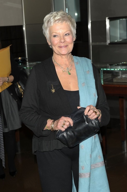 judi-daily