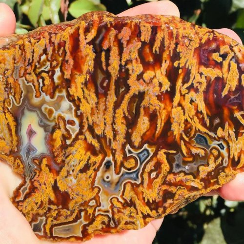 geologyin-blog:Fascinating plume agate from North Ankara, Turkey Credit: Iskenderturgay #minerals #c