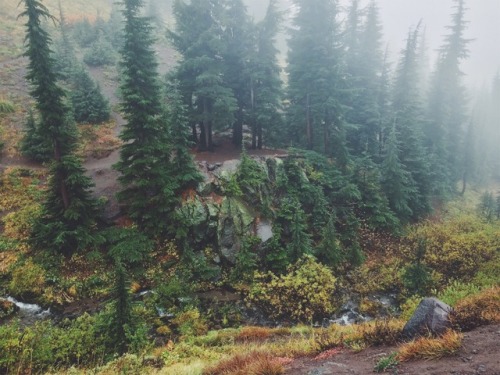 justapplyyourself:Pacific Crest Trail. Mt. Hood, Oregon.