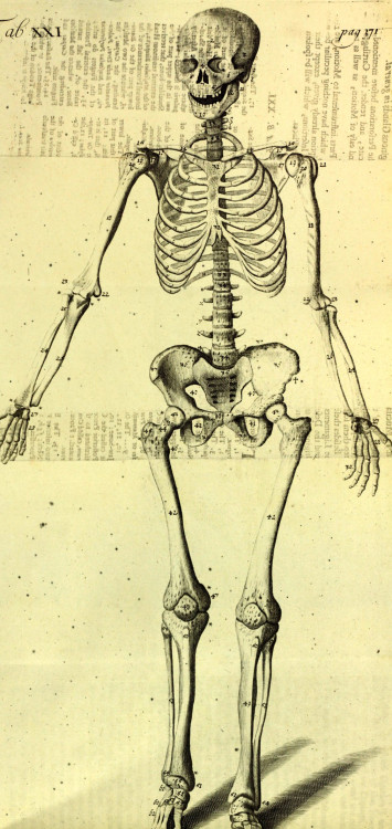 Early 18th Century AnatomyJAMES DRAKEAnthropologia nova; or a new system of anatomy describing the a