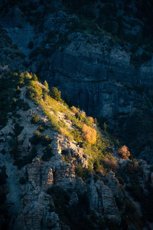 oneshotolive:  This was the first spot the sunlight hit on my early morning hike in American Fork Canyon, Utah [3265 X 4898] [OC] 📷: btkw24 