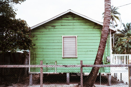 Porn photo shitjimmyshoots:Colors in Belize (2015)Leica