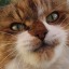 cathywhiskey