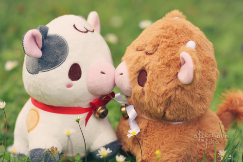 fluffysheeps: They’re on a field date AfternoonFika