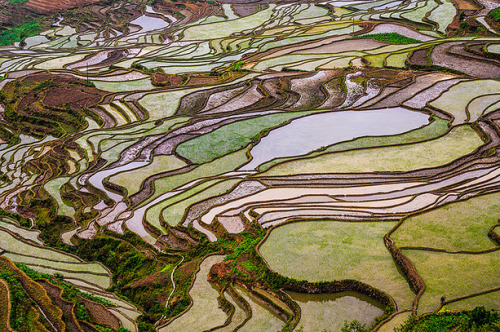 nubbsgalore:the remote, secluded and little known rice terraces of yuanyang county in china’s yunnan