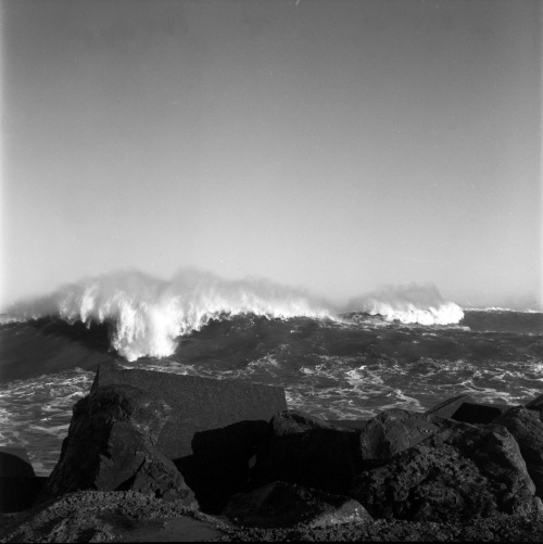 jameskdwight:  Massive Swell in Wellington 
