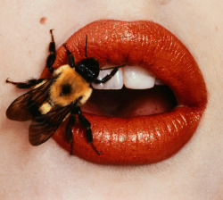 theinkast:Bee by Irving Penn (New York, 1995)