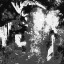 apocalypseprophet