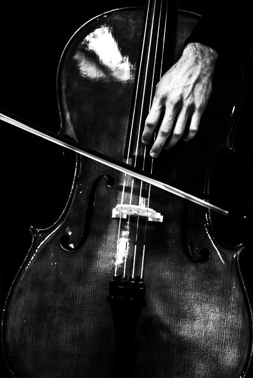 artizan3:  The cellist by Zoe Sahol (original post by:maya47000.tumblr.com ) 