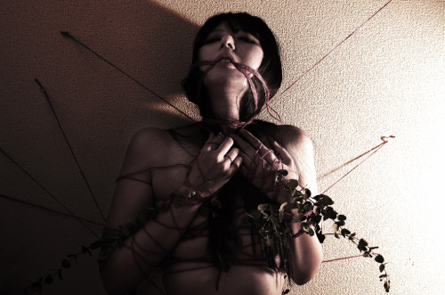 ghost000:  photo keikitamura 北村ケイ