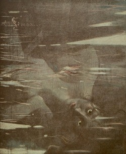 antipahtico:  La Sirena ~ Hugo Freiherrn