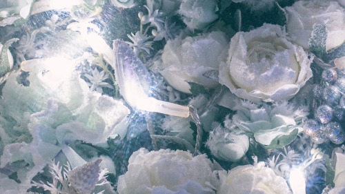 If Flowers Were Blooming In Heaven