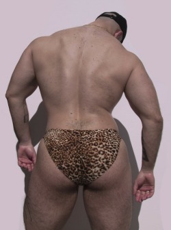 bumfun-in-briefs:  