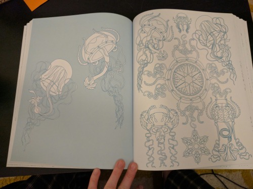 merswine: I FOUND THE BEST COLORING BOOK EVER. Not only is the subject matter great and something @c