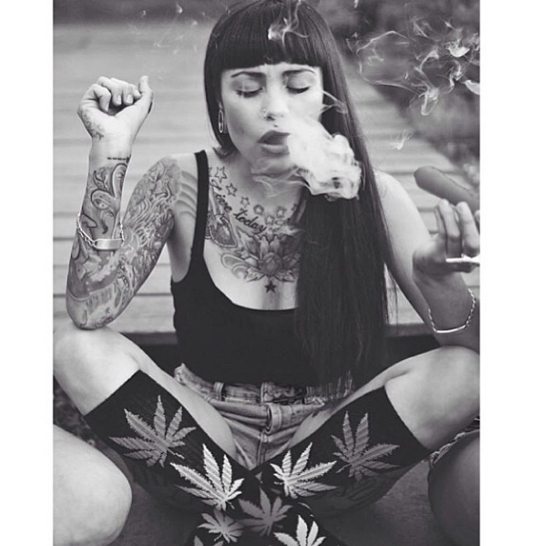  VioletRose. 
