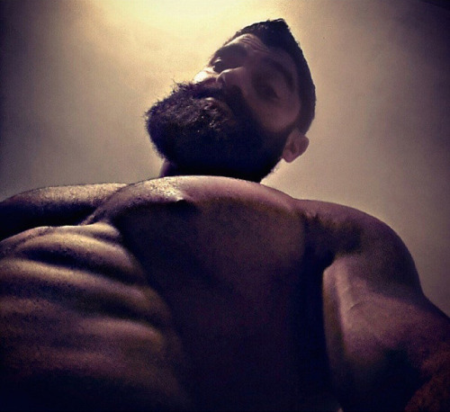 Porn Pics wrestlehead:  Doumit Ghanem  Mounds of muscles