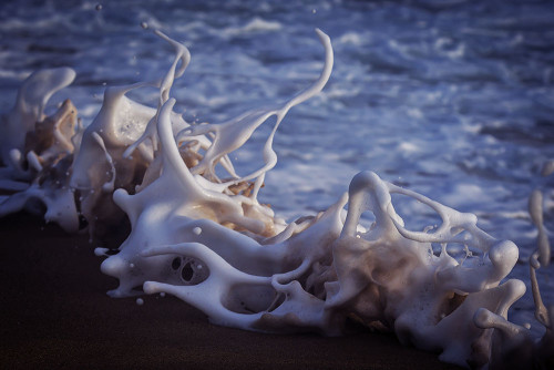 nubbsgalore:  photos by lloyd meudell (instagram) along the southern coast of new south wales. as lloyd, who’s surfed the area for years before picking up a camera, explains, “when the tide is high, the water comes in and it breaks in front of