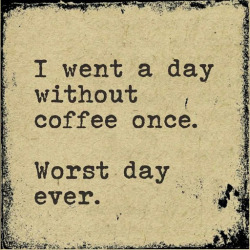 Your Coffee Guru