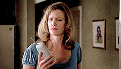 talesofnorth:female awesome meme: [1/5] female characters who are unfairly hated   ⇒  Skyler White (