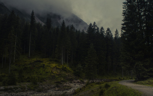 Valley of Wildenbach II by Jerdess