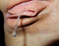 drip-pussy-juice:  Sex Datings - http://bit.do/d35PC