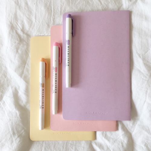 mindset-of-a-princess:School starts tomorrow! My last semester of High school! My color scheme for t