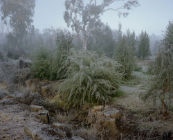 neoxu:  Tumut sunrise by Wouter Van de Voorde