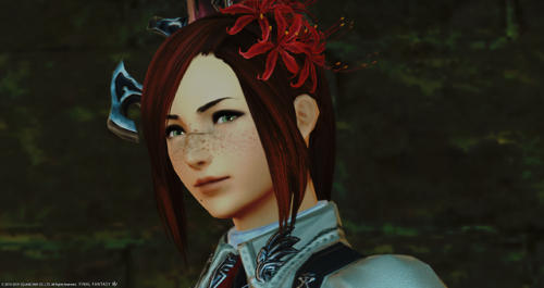 caewen-ffxiv: Expressions.