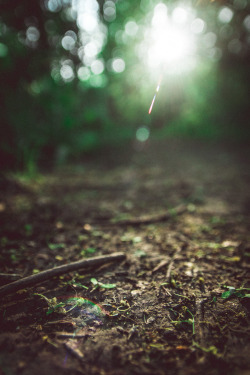 hiadammarshall: Adam Marshall Photography Tumblr